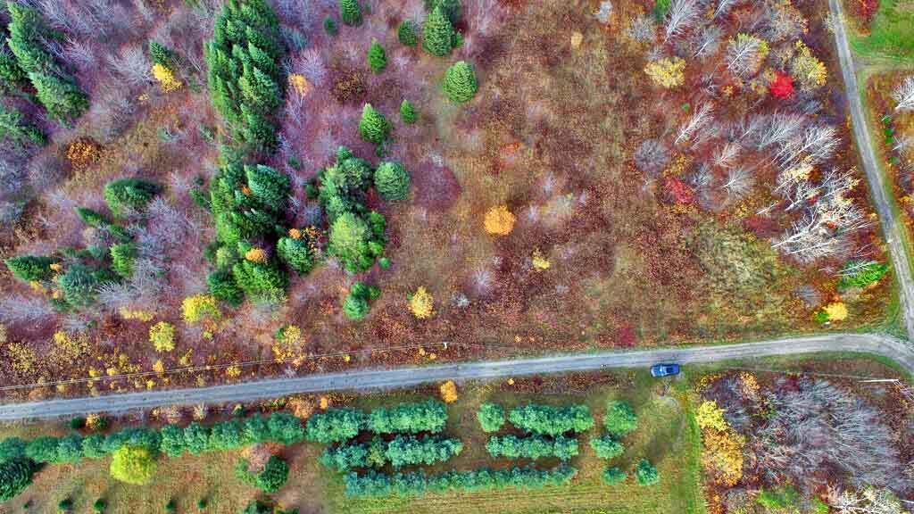 Lot 8-9 South Mill Road Smyrna Mills, ME 04780 - Photo 14 of 43 where-you-build-me-land