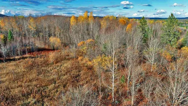 $70,000 | Lot 8-9 South Mill Road, Smyrna Mills, ME 04780