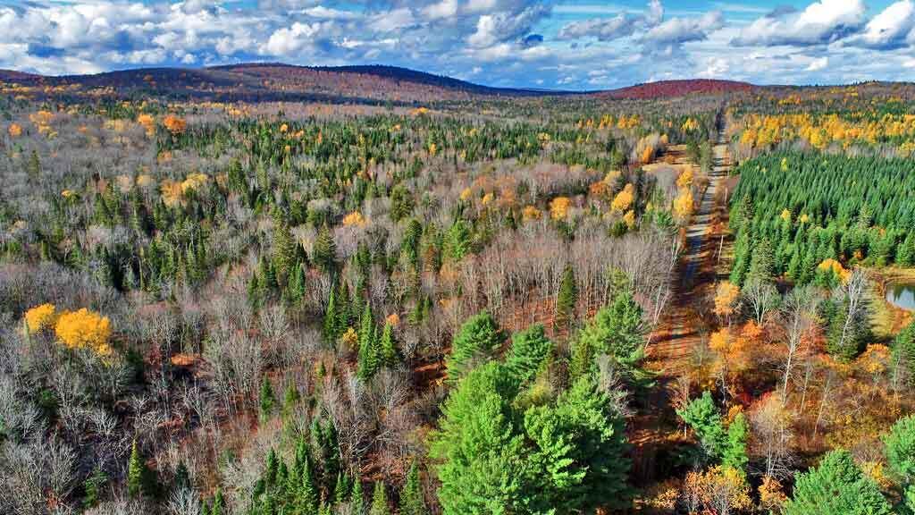 Lot 8-9 South Mill Road Smyrna Mills, ME 04780 - Photo 17 of 43 aroostook-county-hunting-la