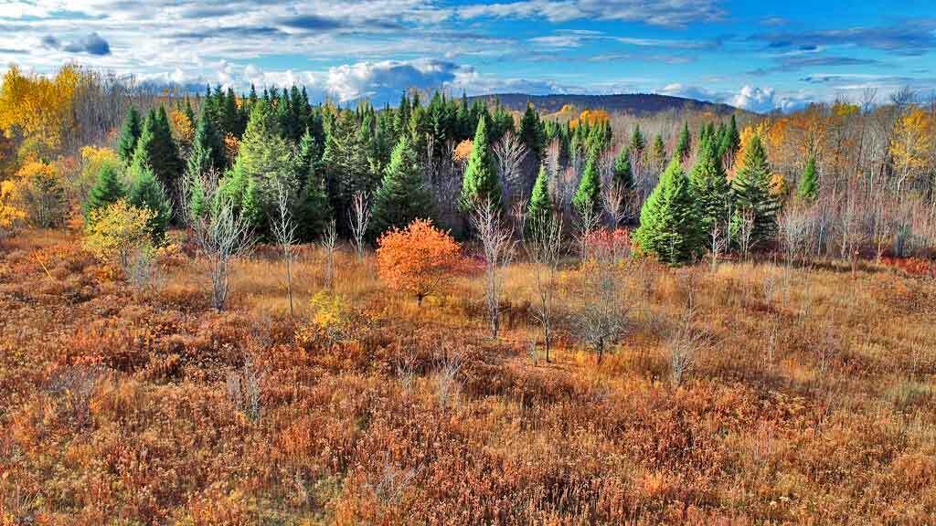 Lot 8-9 South Mill Road Smyrna Mills, ME 04780 - Photo 18 of 43 land-maine-moro-plt