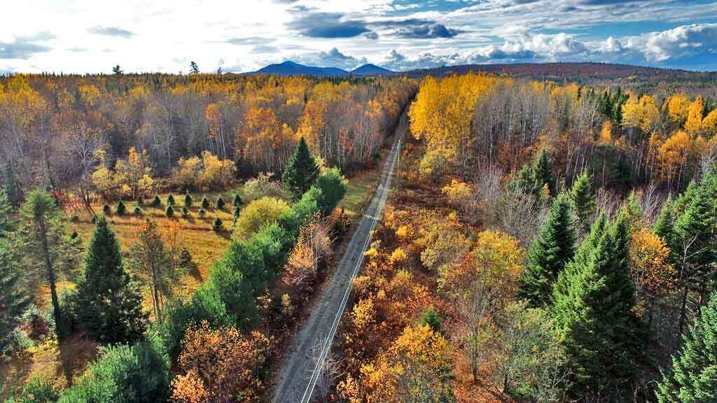 Lot 8-9 South Mill Road Smyrna Mills, ME 04780 - Photo 2 of 43 long-road-frontage-me-land