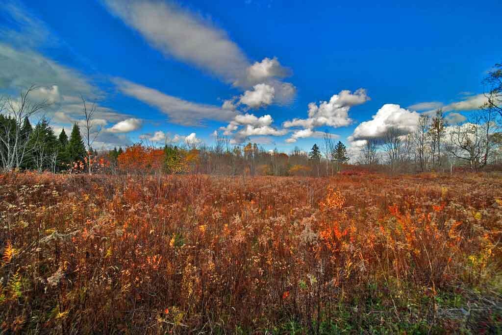Lot 8-9 South Mill Road Smyrna Mills, ME 04780 - Photo 25 of 43 pasture-field-me-land