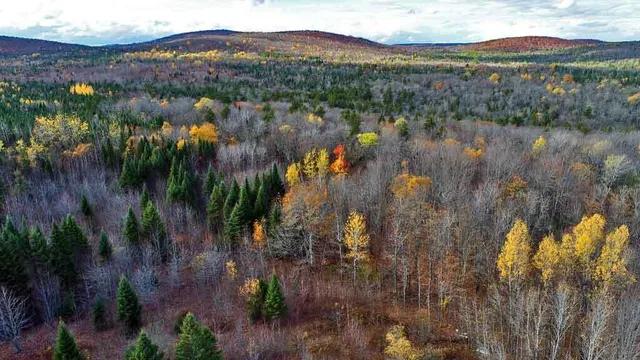 $70,000 | Lot 8-9 South Mill Road, Smyrna Mills, ME 04780