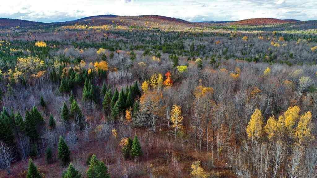 Lot 8-9 South Mill Road Smyrna Mills, ME 04780 - Photo 26 of 43 me-land-remote-moro