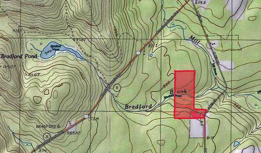 Lot 8-9 South Mill Road Smyrna Mills, ME 04780 - Photo 28 of 43 me-land-moro=plt