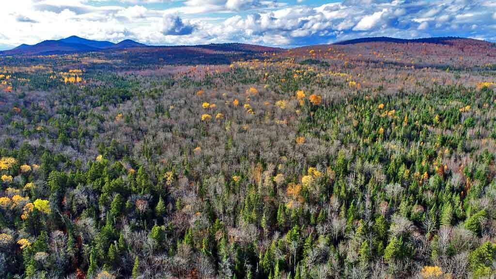 Lot 8-9 South Mill Road Smyrna Mills, ME 04780 - Photo 29 of 43 great-north-woods-moro-me