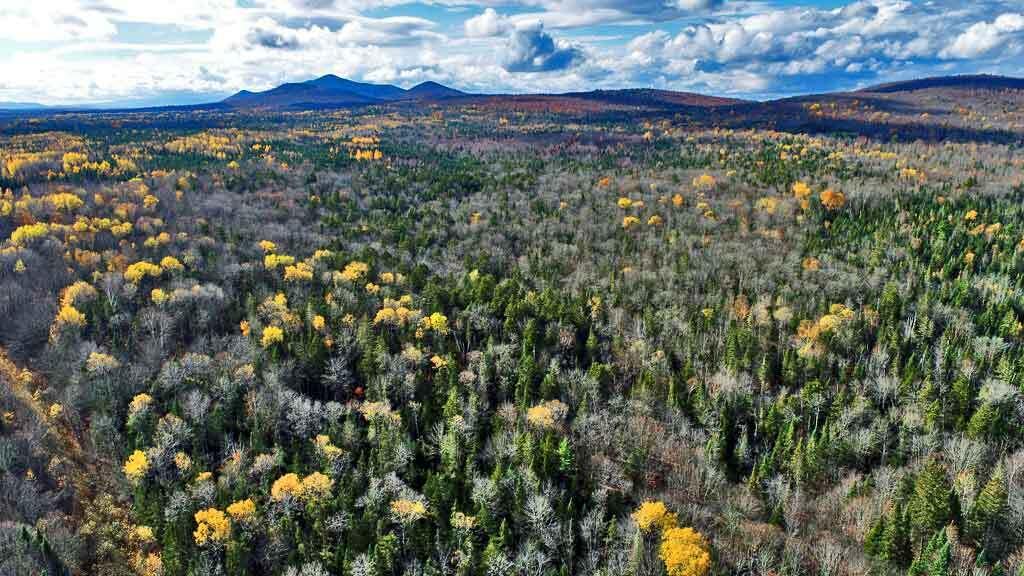 Lot 8-9 South Mill Road Smyrna Mills, ME 04780 - Photo 30 of 43 land-forest-maine-woods