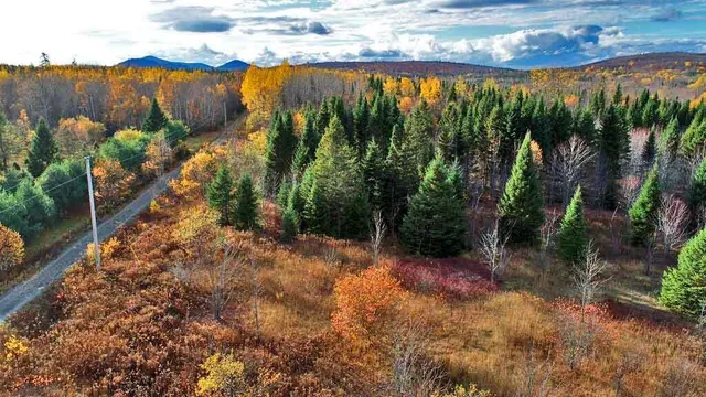 $70,000 | Lot 8-9 South Mill Road, Smyrna Mills, ME 04780