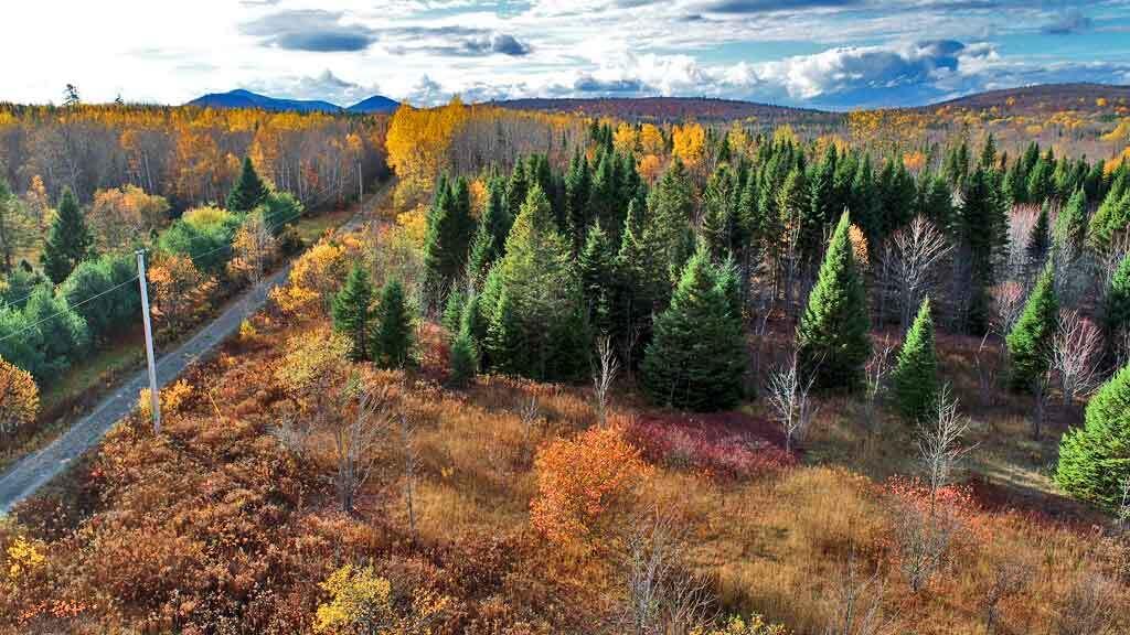 Lot 8-9 South Mill Road Smyrna Mills, ME 04780 - Photo 3 of 43 me-land-for-sale-homesteadi