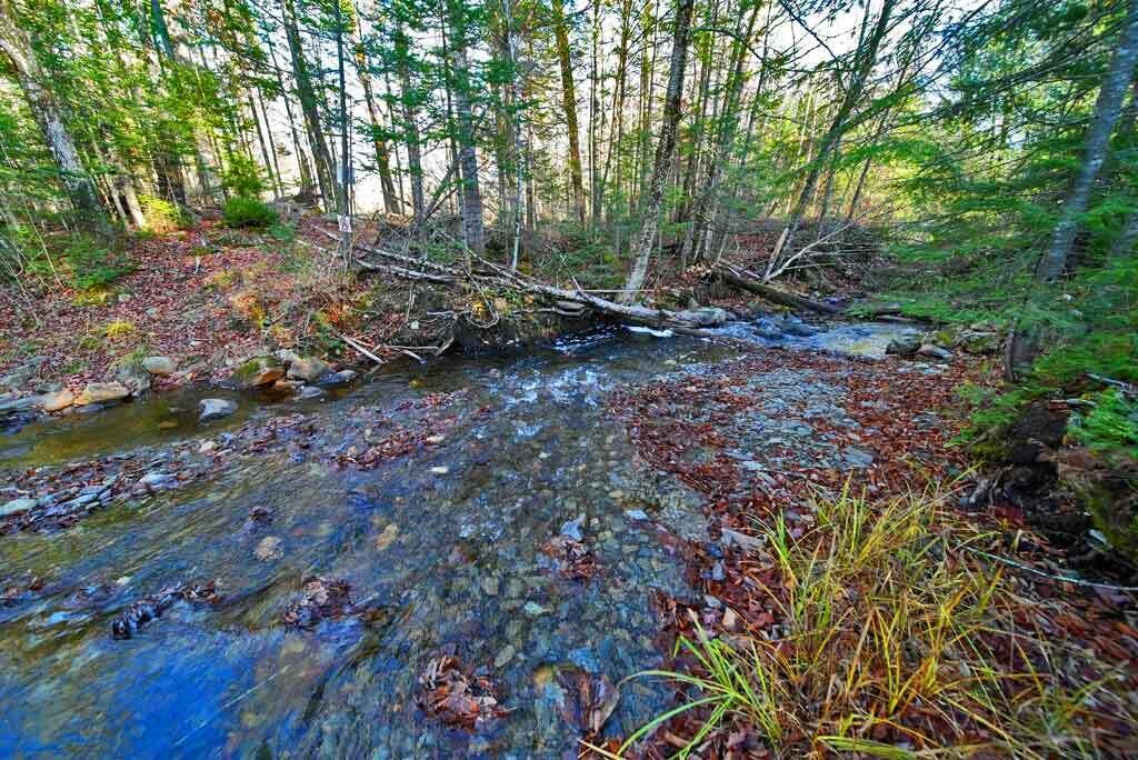 Lot 8-9 South Mill Road Smyrna Mills, ME 04780 - Photo 32 of 43 land-in-maine-brook