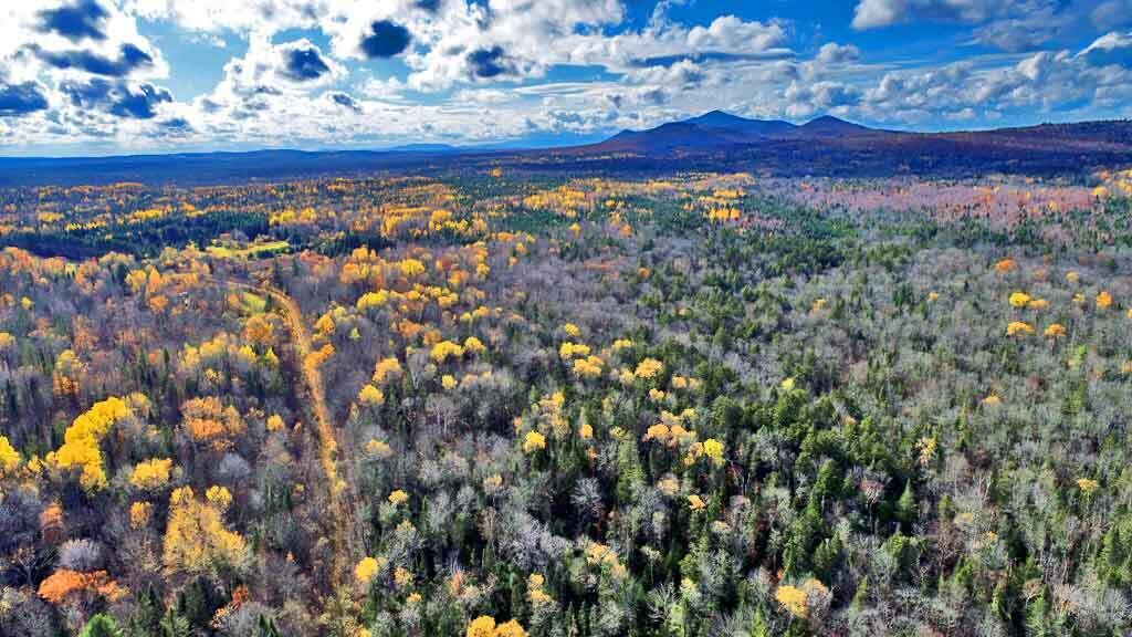 Lot 8-9 South Mill Road Smyrna Mills, ME 04780 - Photo 36 of 43 moro-land-aroostook-county