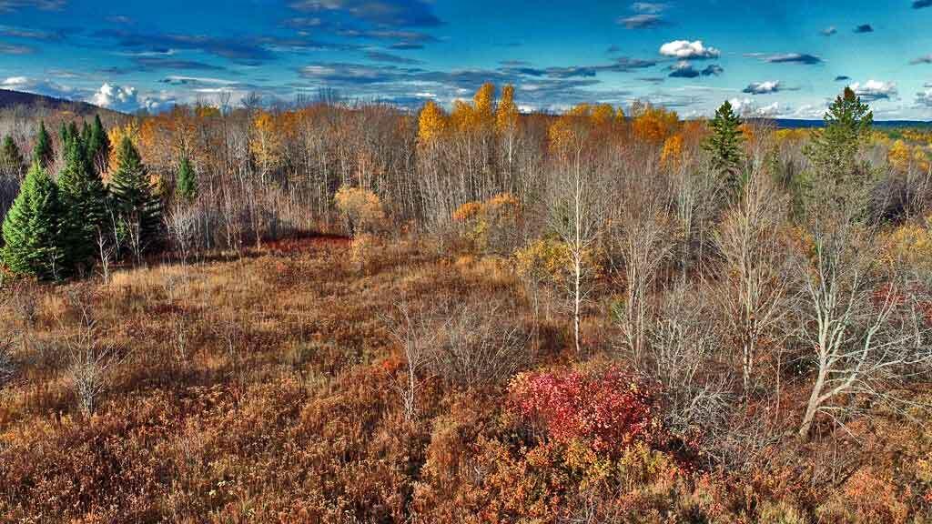 Lot 8-9 South Mill Road Smyrna Mills, ME 04780 - Photo 37 of 43 moro-land-maine-farm