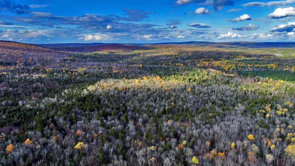 Lot 8-9 South Mill Road Smyrna Mills, ME 04780 - Photo 38 of 43 rec-land-woodlot-maine