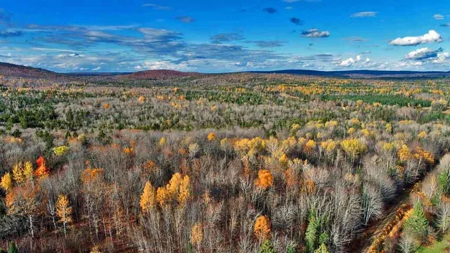 $70,000 | Lot 8-9 South Mill Road, Smyrna Mills, ME 04780