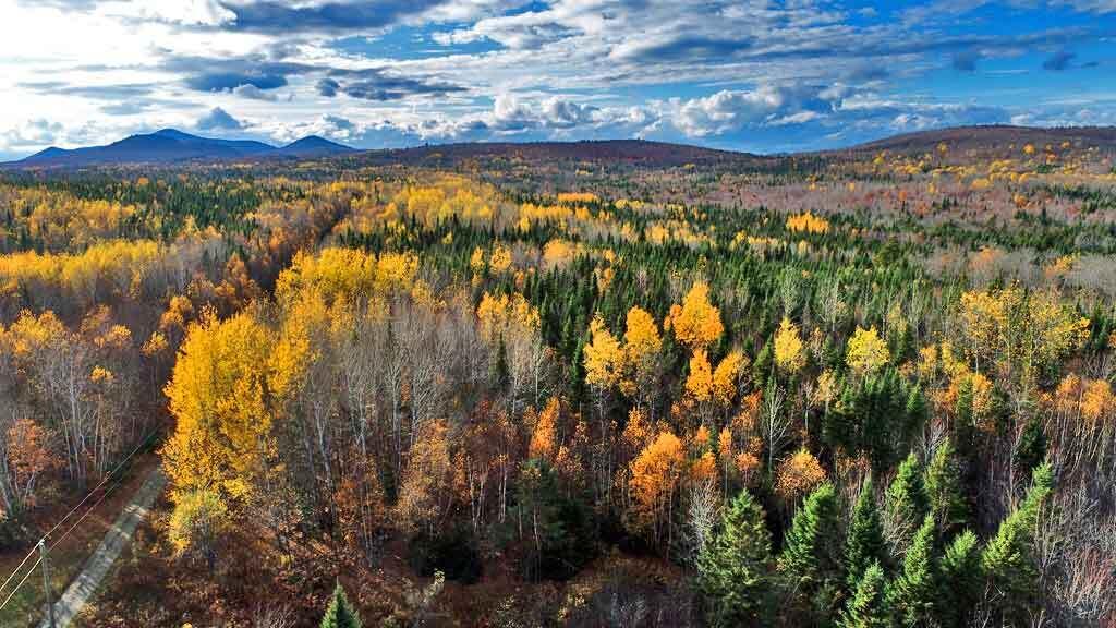 Lot 8-9 South Mill Road Smyrna Mills, ME 04780 - Photo 4 of 43 land-for-sale-maine