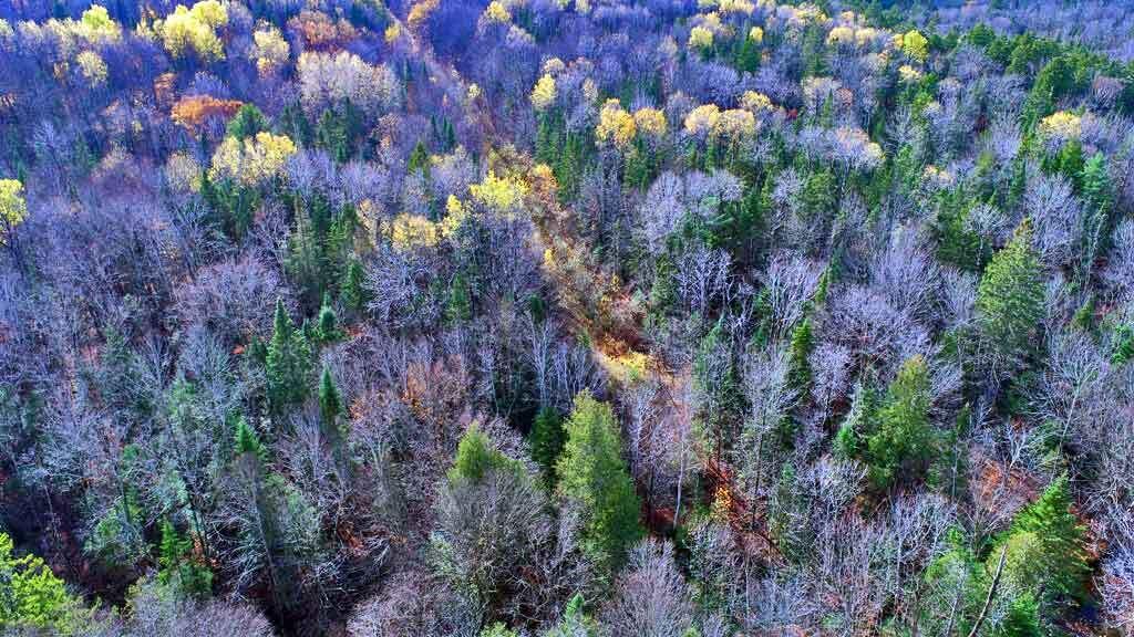 Lot 8-9 South Mill Road Smyrna Mills, ME 04780 - Photo 41 of 43 roadway-maine-land