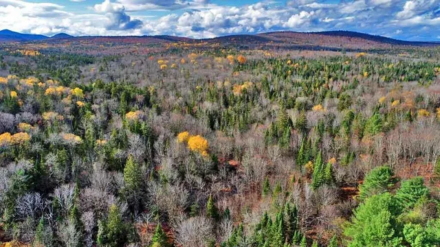 $70,000 | Lot 8-9 South Mill Road, Smyrna Mills, ME 04780