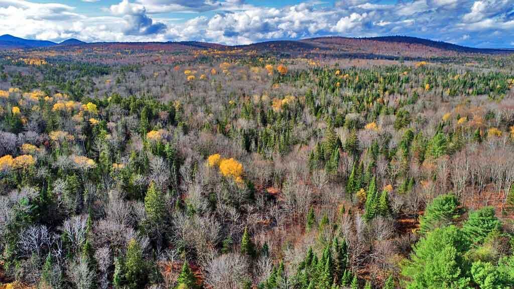 Lot 8-9 South Mill Road Smyrna Mills, ME 04780 - Photo 42 of 43 wooded-pasture-land-me