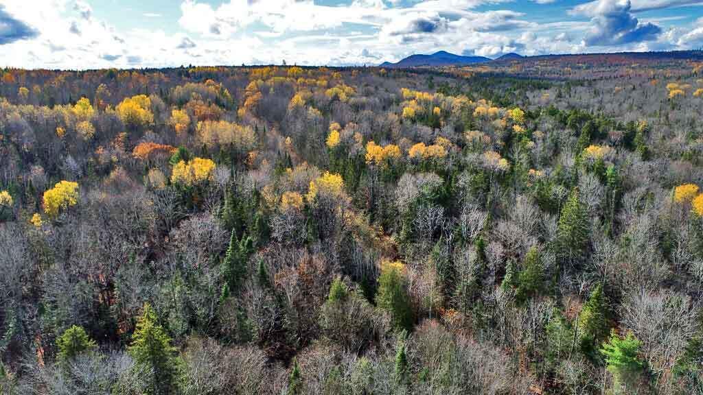 Lot 8-9 South Mill Road Smyrna Mills, ME 04780 - Photo 43 of 43 wooded-sections-me-land
