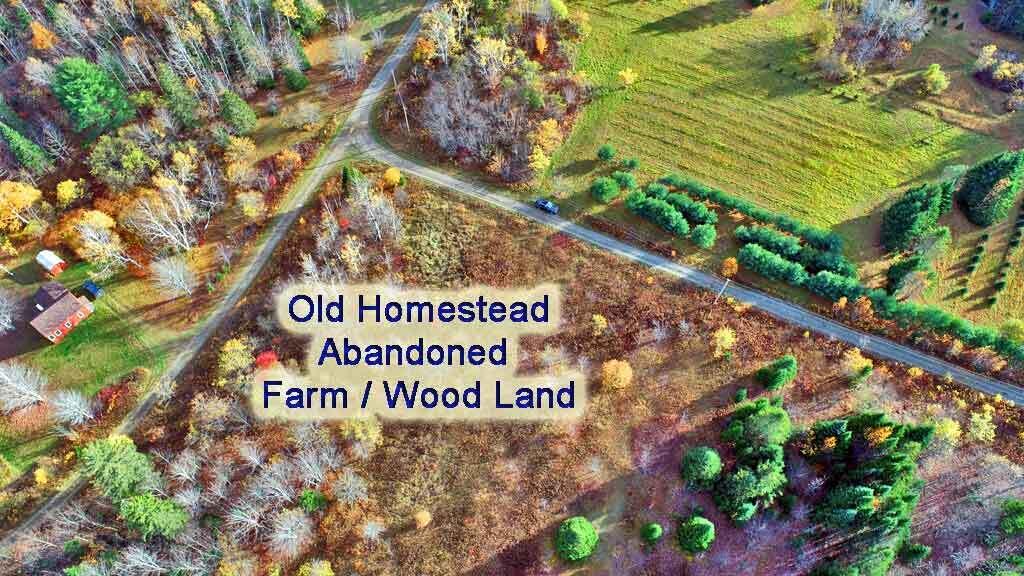 Lot 8-9 South Mill Road Smyrna Mills, ME 04780 - Photo 5 of 43 maine-land-mor-plt