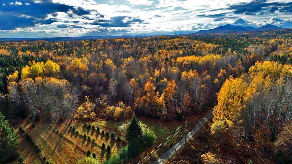 Lot 8-9 South Mill Road Smyrna Mills, ME 04780 - Photo 8 of 43 maine-land-aroostook-county