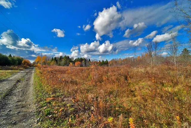 $70,000 | Lot 8-9 South Mill Road, Smyrna Mills, ME 04780