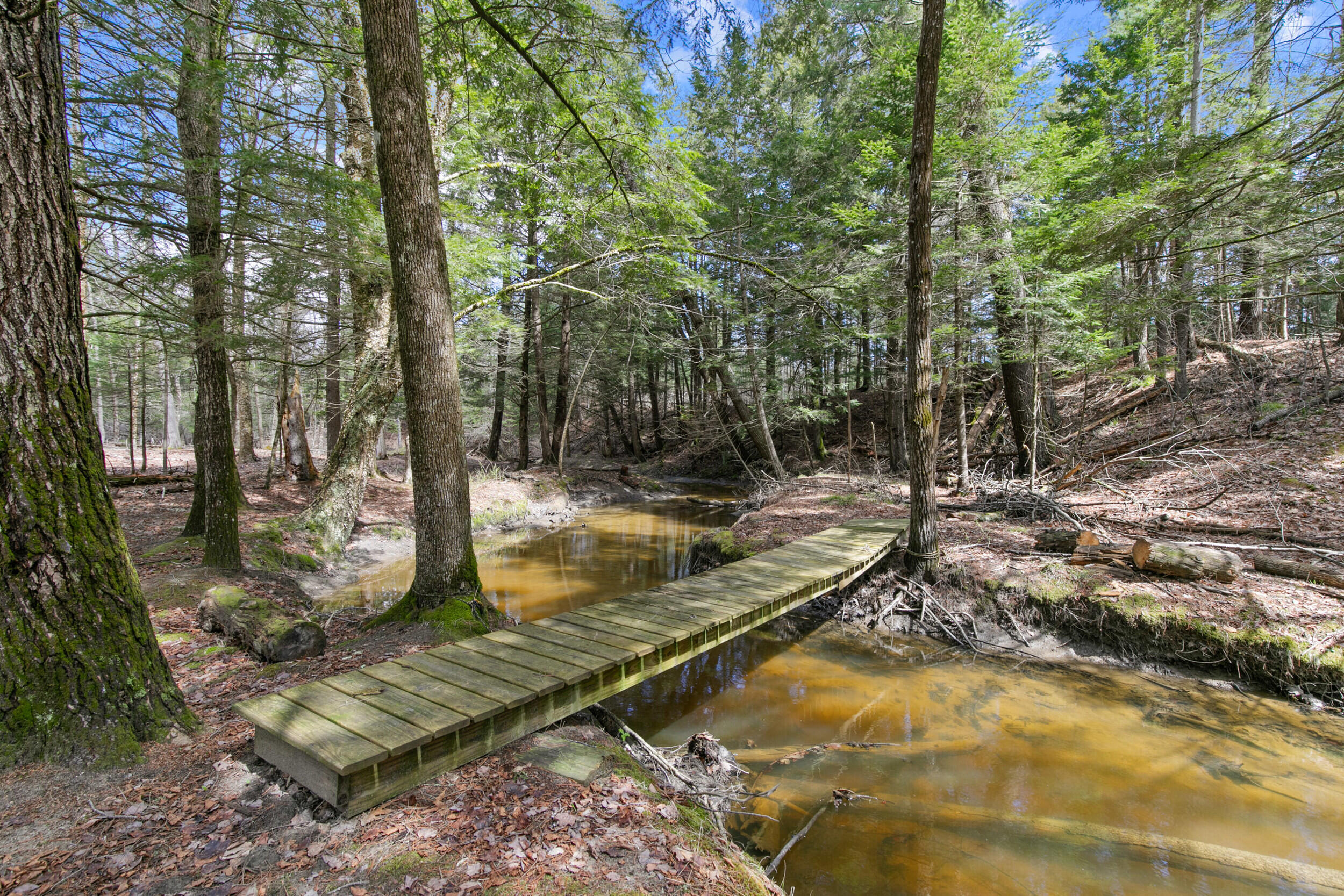 49 Harts Way Gorham, ME 04038 - Photo 58 of 62 3_49 harts way gorham me 04038 us-003