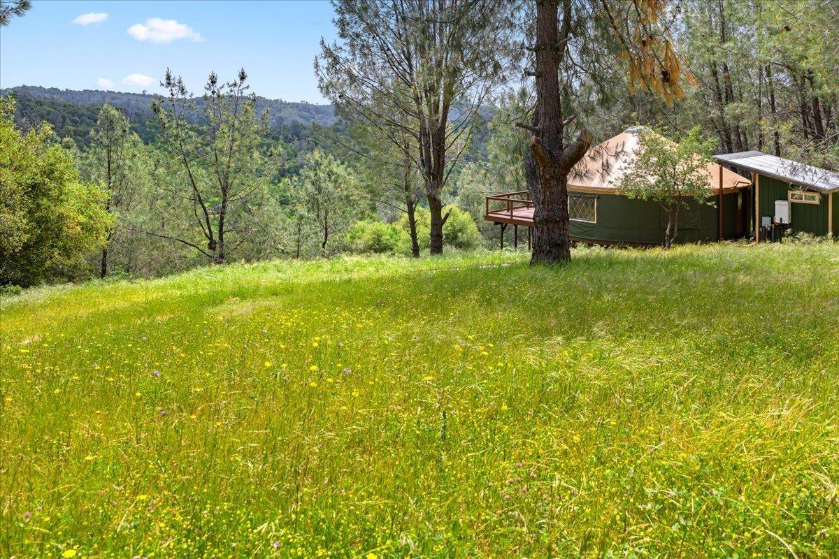 12105 Shepard Road Smartsville, CA 95977 - Photo 4 of 56