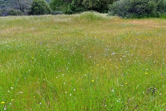 $275,000 | 12105 Shepard Road, Smartsville, CA 95977