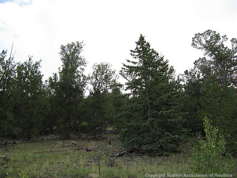 950 Bow String Road Como, CO 80456 - Photo 2 of 11 Land/Lot.