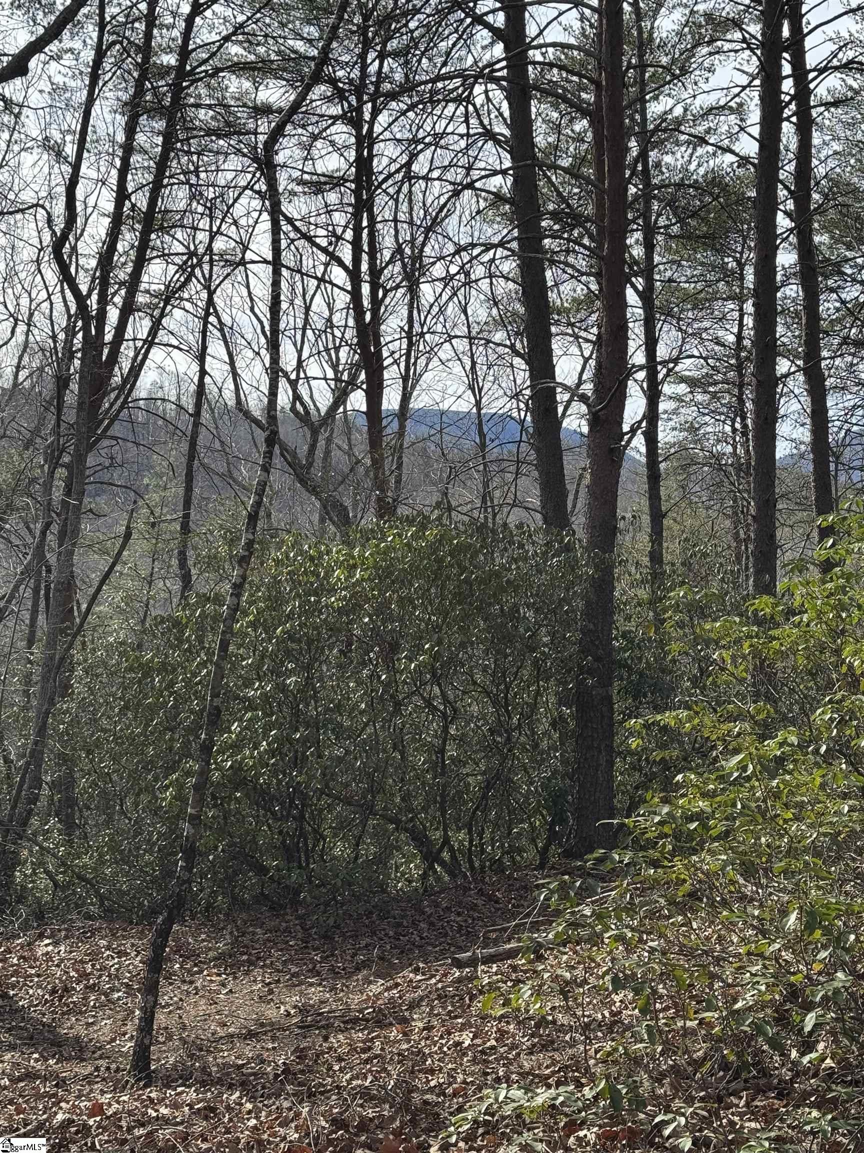 Butter Street Landrum, SC 29356 - Photo 6 of 19
