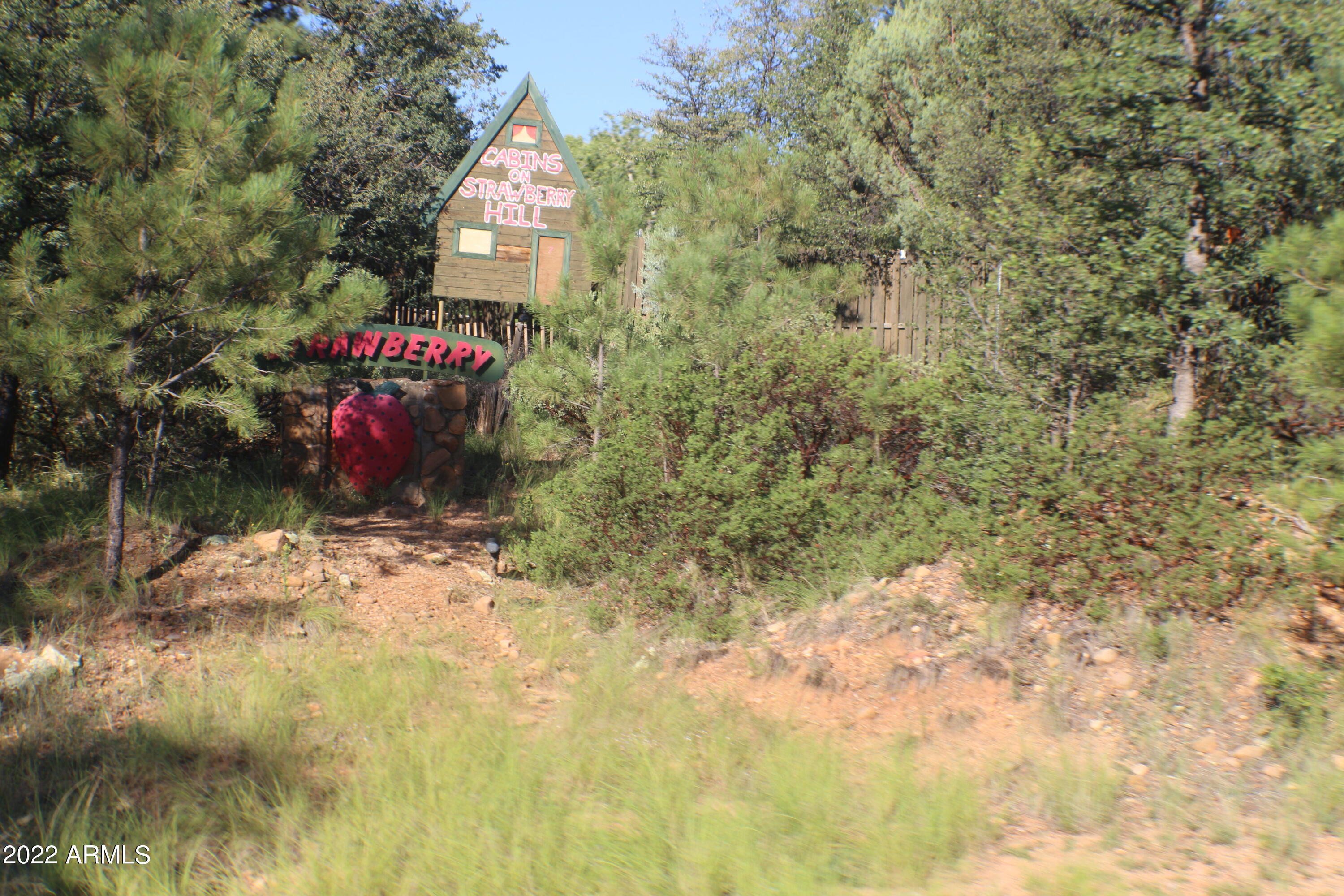 8540 Elk Road Strawberry, AZ 85544 - Photo 54 of 54 IMG_3172