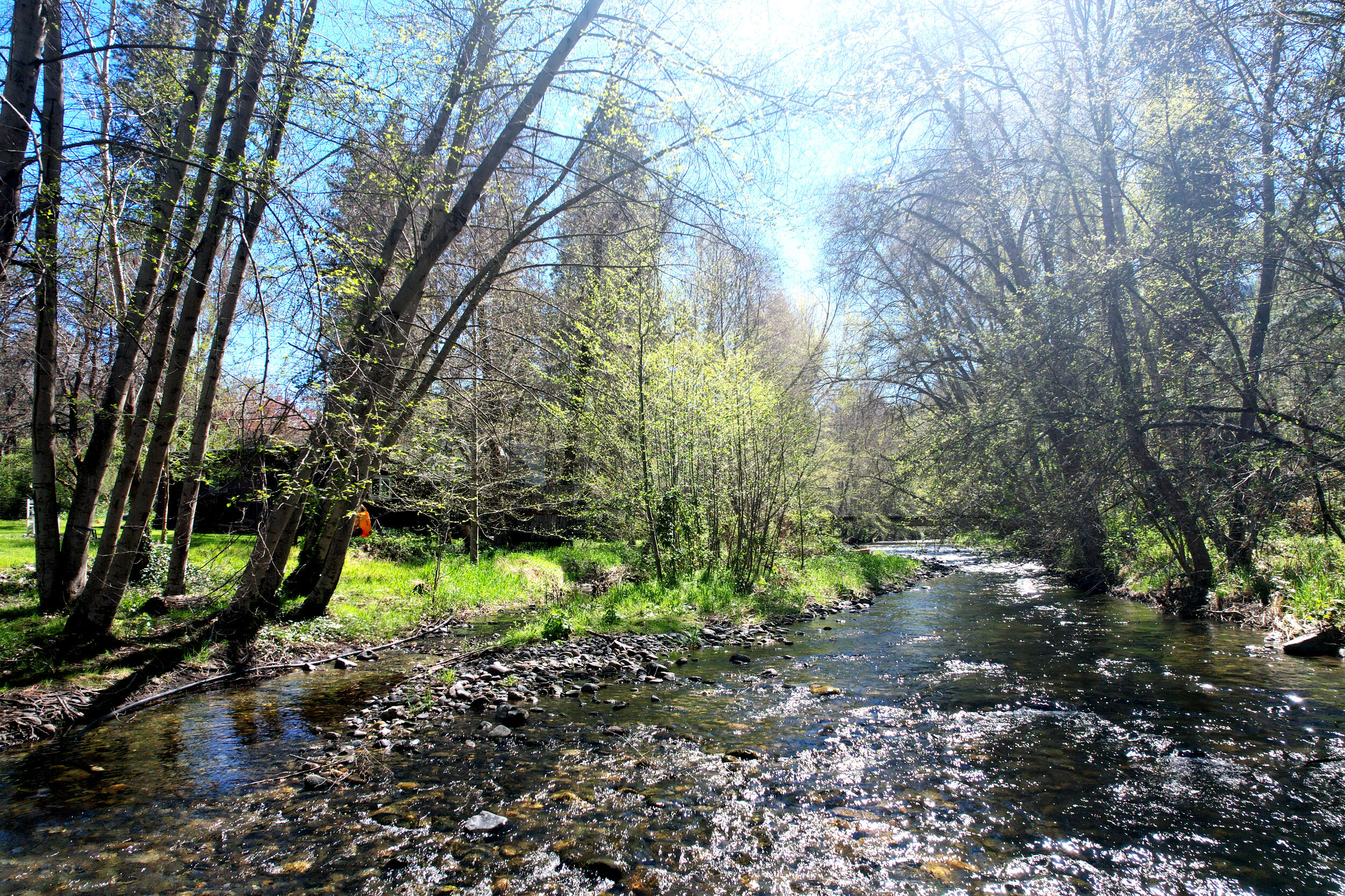 3356 Little Applegate Road Jacksonville, OR 97530 - Photo 1 of 64 up river (1)