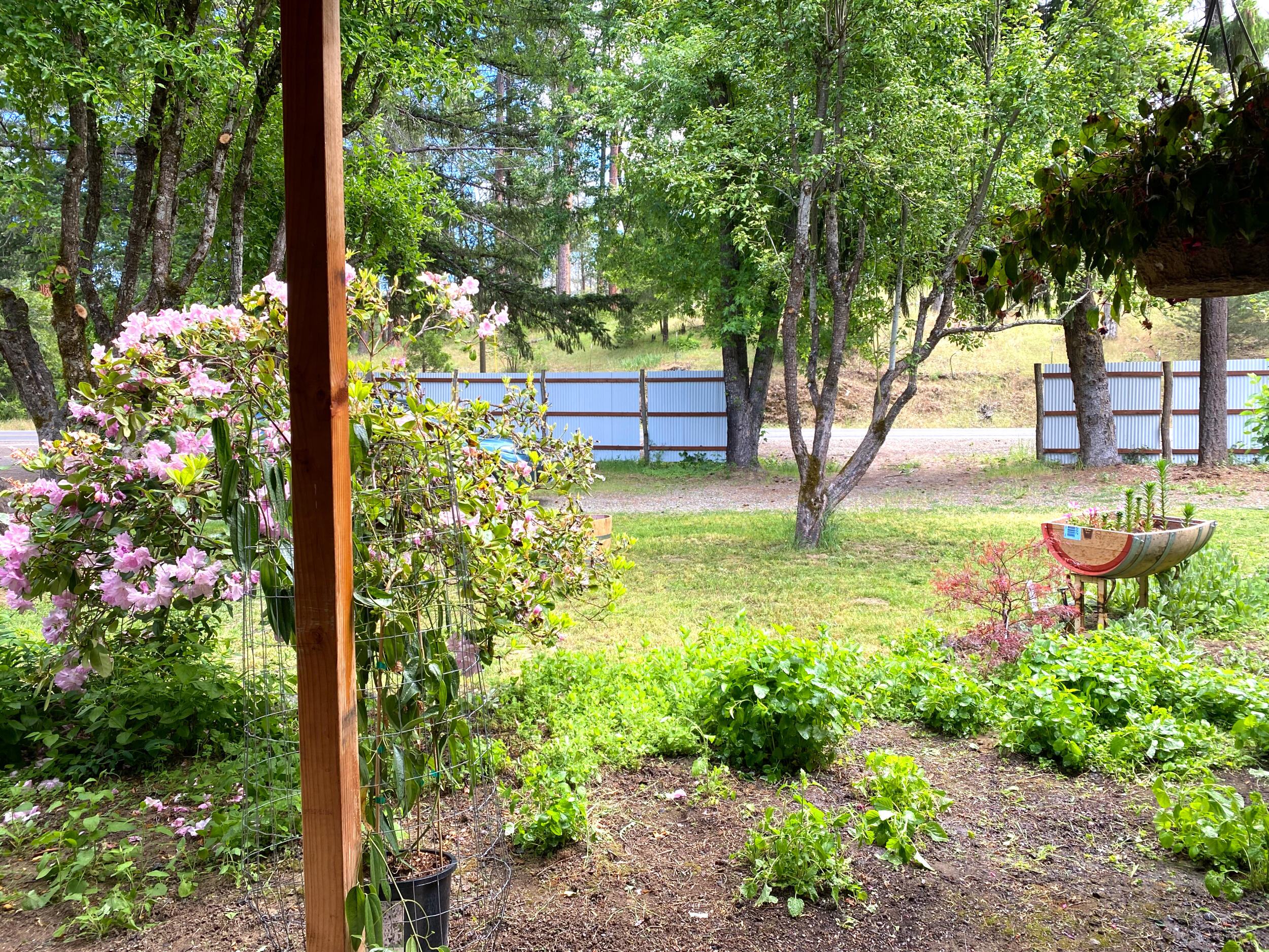 3356 Little Applegate Road Jacksonville, OR 97530 - Photo 7 of 64 front yard