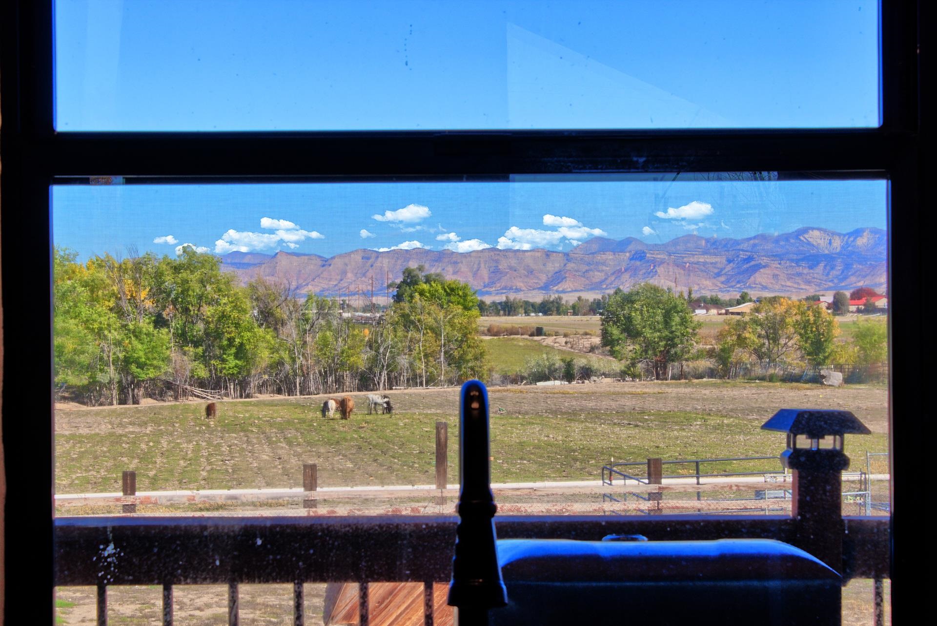 1874 L Road Fruita, CO 81521 - Photo 14 of 42 a view of a city from a balcony