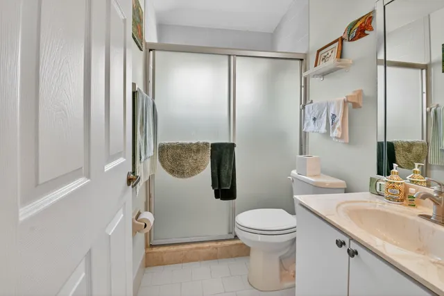 a view of a garden with plants