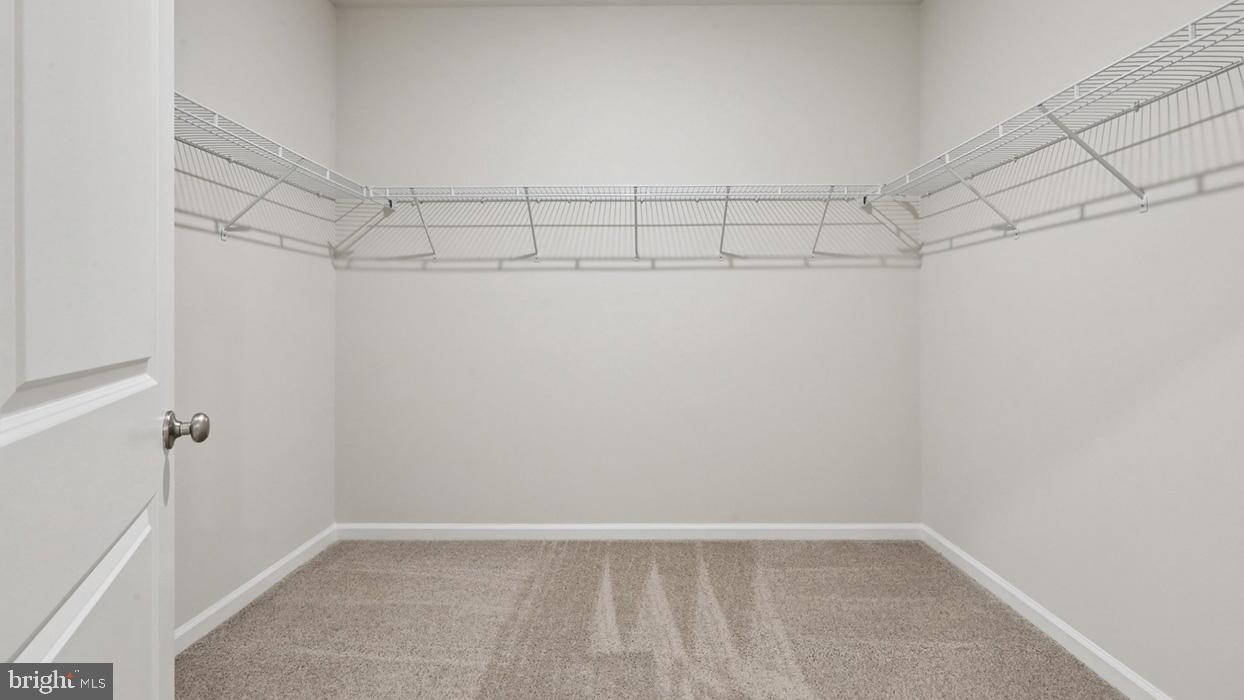 120 Winding Road Easton, PA 18040 - Photo 76 of 80 a view of a room with racks on the wall