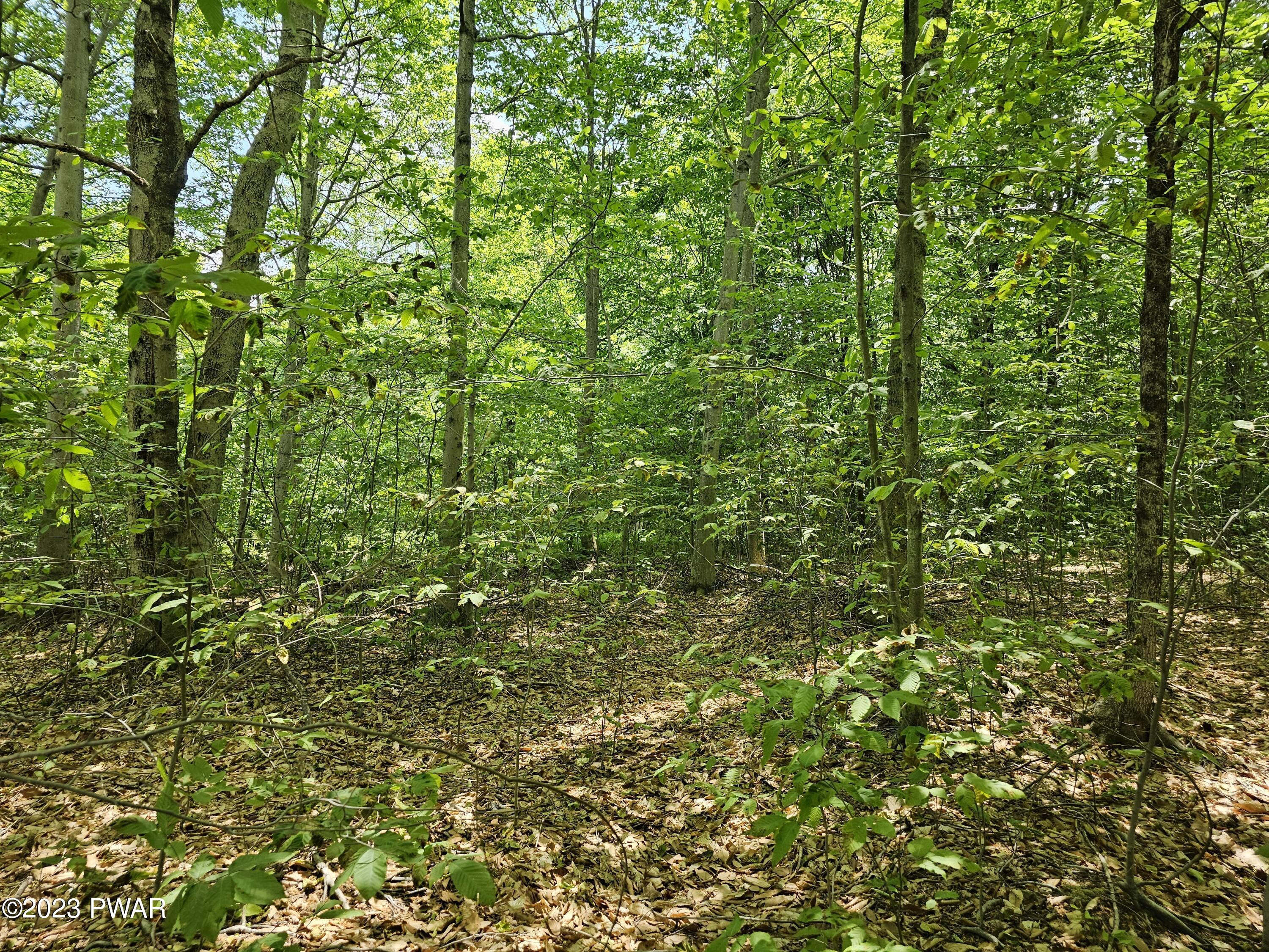 Lot 69 Stonegate Road Equinunk, PA 18417 - Photo 12 of 29