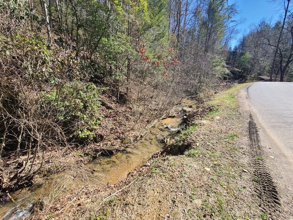 3002 Laurel Lick Road Sevierville, TN 37862 - Photo 14 of 36