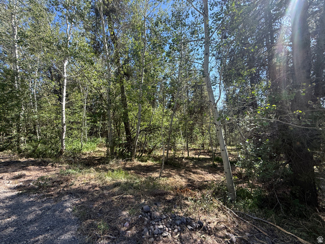 4376 Granite Ridge Ashton, ID 83420 - Photo 48 of 50