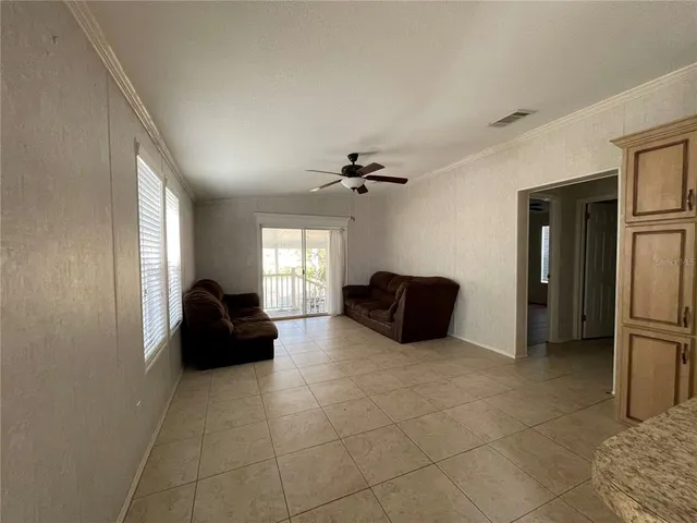 a view of a tree in the middle of a yard