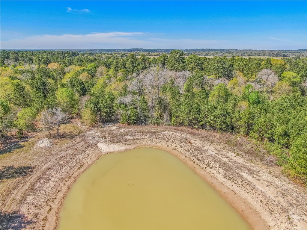 3656 Luthe Road Anderson, TX 77830 - Photo 5 of 13 Gallery Image 5