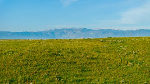 $114,303 | Avenue, Sheridan, WY 82801