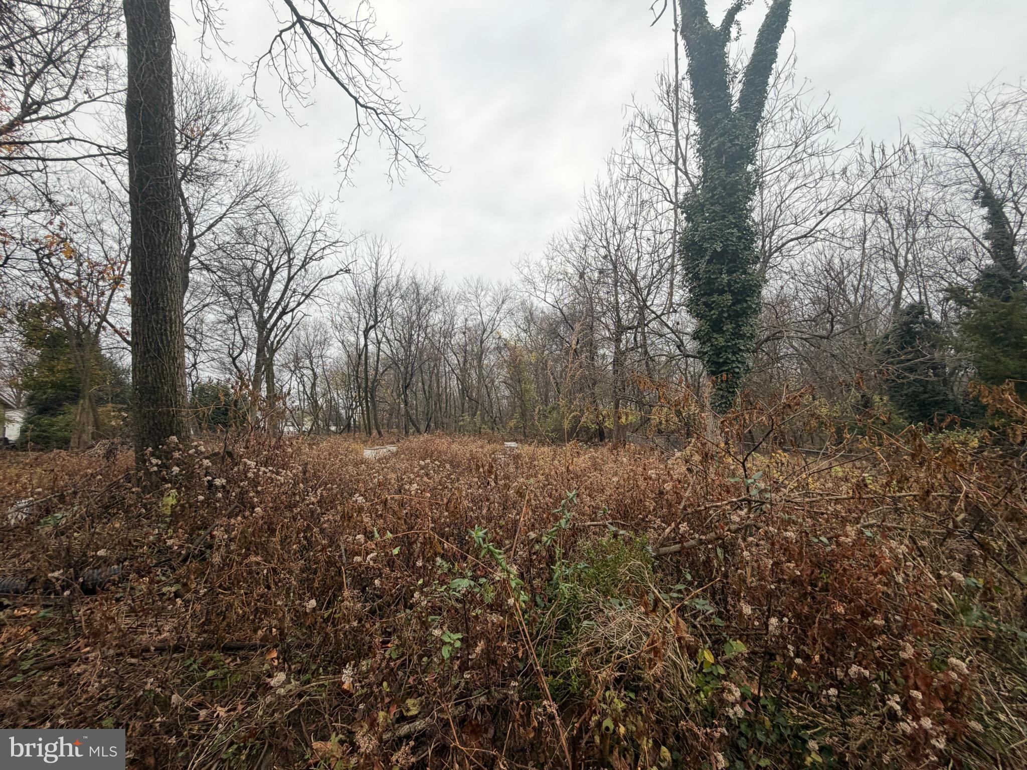 2814 3rd Street Norristown, PA 19403 - Photo 11 of 11 a view of a yard