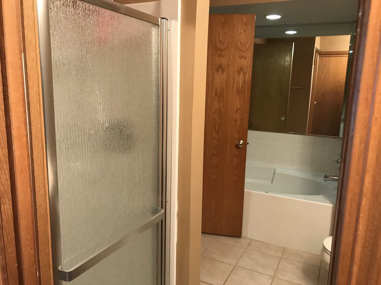 1456 Berta Drive Crest Hill, IL 60403 - Photo 16 of 17 a bathroom with a shower and a sink