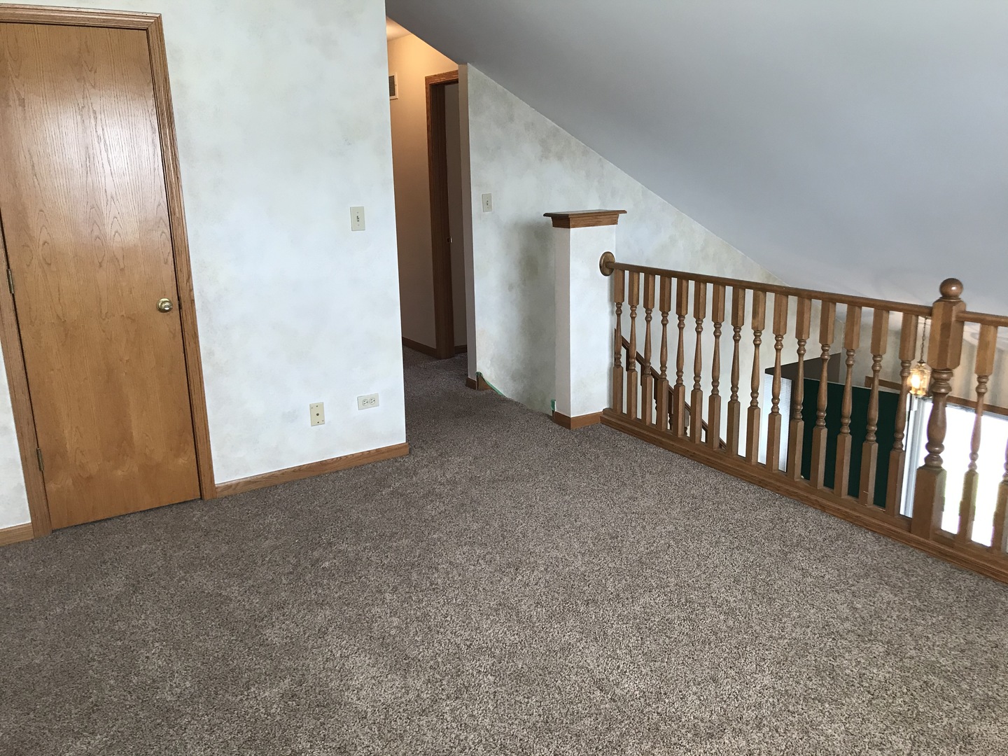 1456 Berta Drive Crest Hill, IL 60403 - Photo 9 of 17