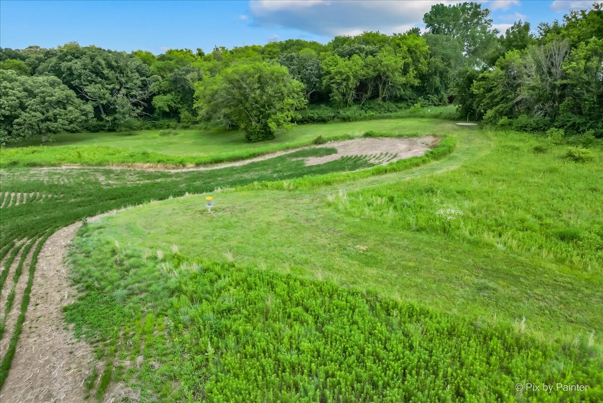 936 Ridgewood Drive Cary, IL 60013 - Photo 44 of 45 a view of a green field with lots of bushes