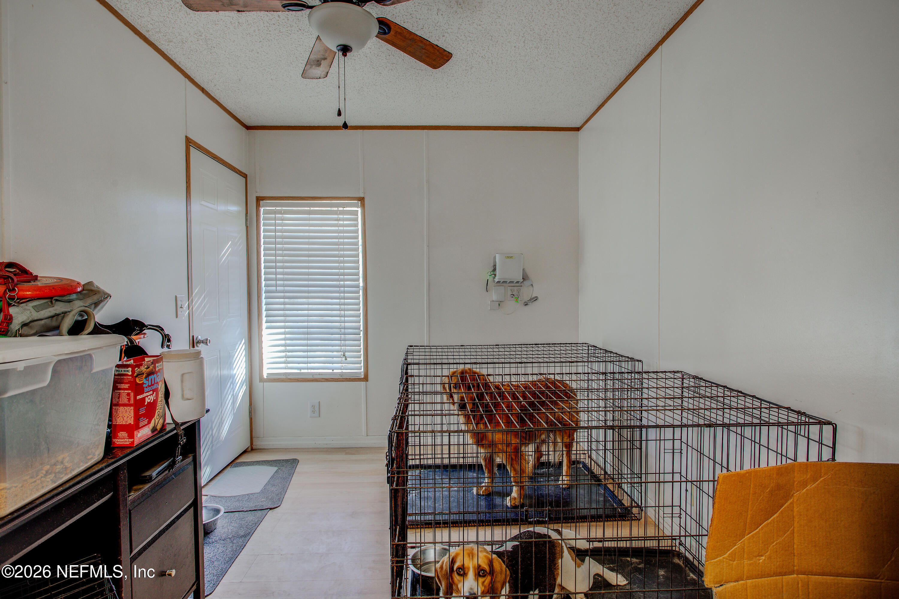 5463 Big Branch Road Middleburg, FL 32068 - Photo 38 of 68 20241204-5463_Big_Branch_Rd-37