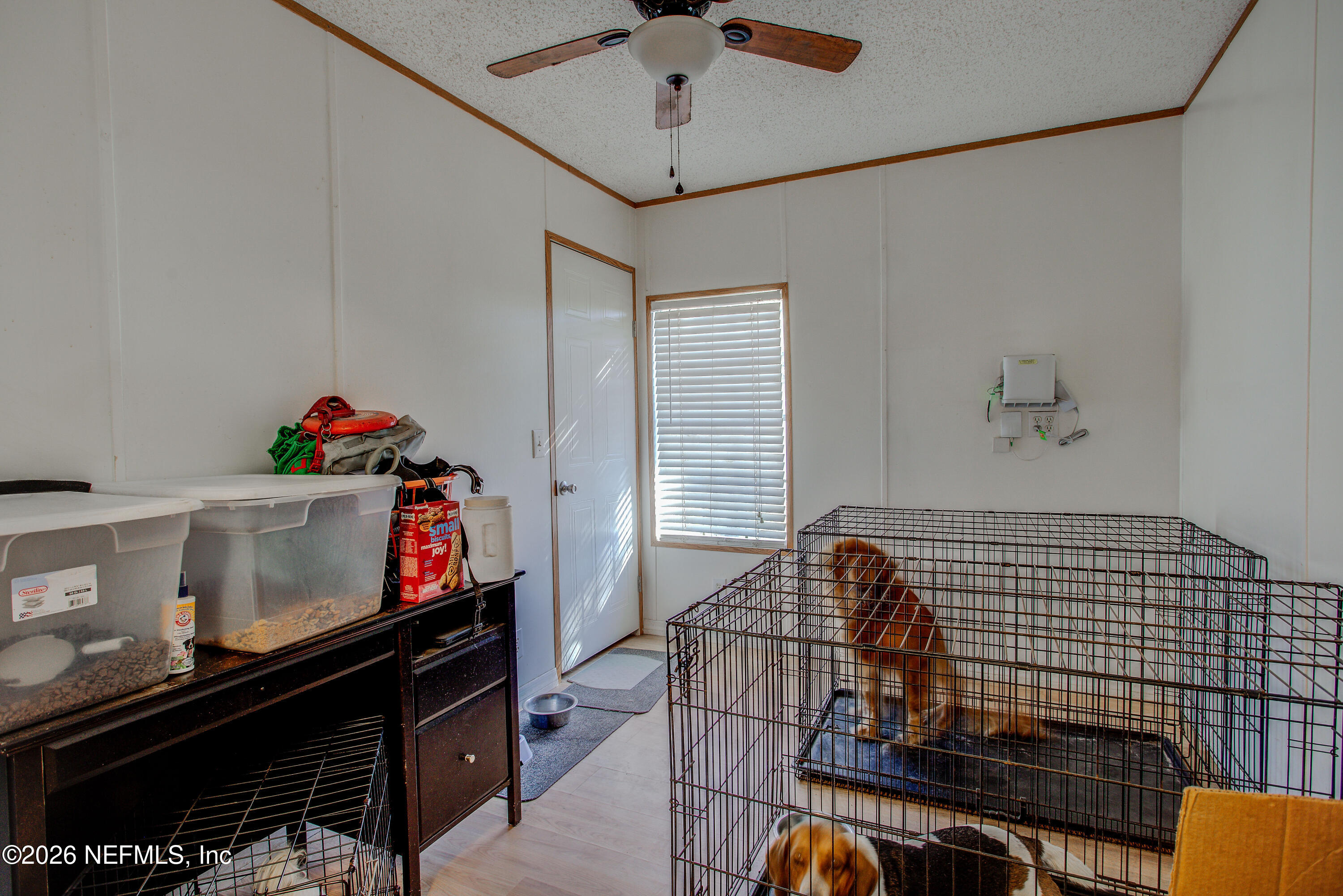 5463 Big Branch Road Middleburg, FL 32068 - Photo 39 of 68 20241204-5463_Big_Branch_Rd-38