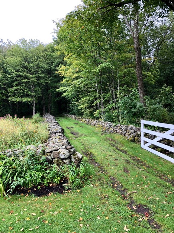 a backyard of a house with lots of green space